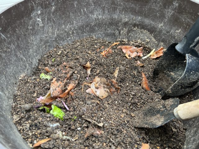 出涸らしの野菜クズはベランダコンポストに入れて堆肥として再利用したい